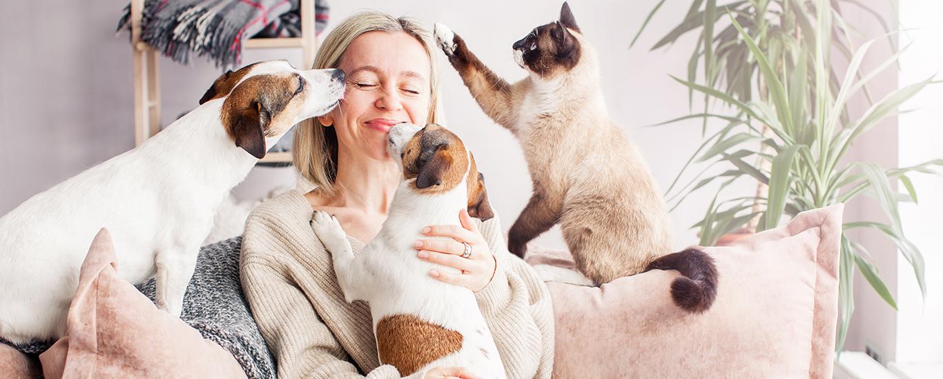 Foto do artigo Benefícios da iluminação adequada para seu pet