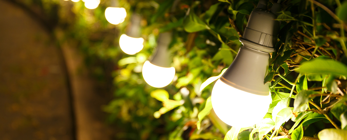 Foto do artigo Principais tipos de lâmpadas e suas utilidades