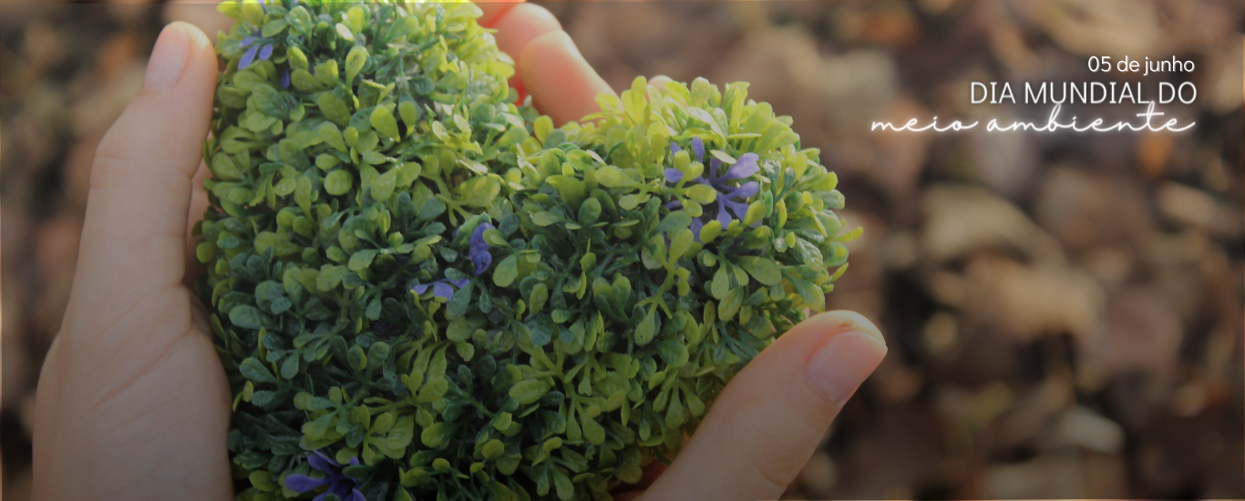 Foto do artigo Dia Mundial do Meio Ambiente