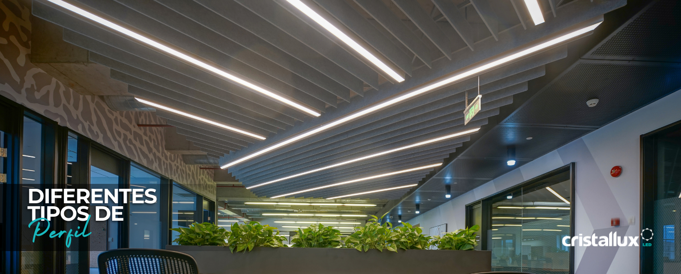 Foto do artigo Diferentes tipos de Perfil